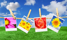 Four seasons